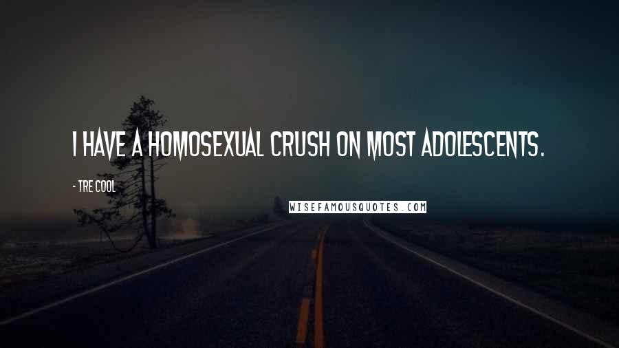 Tre Cool Quotes: I have a homosexual crush on most adolescents.