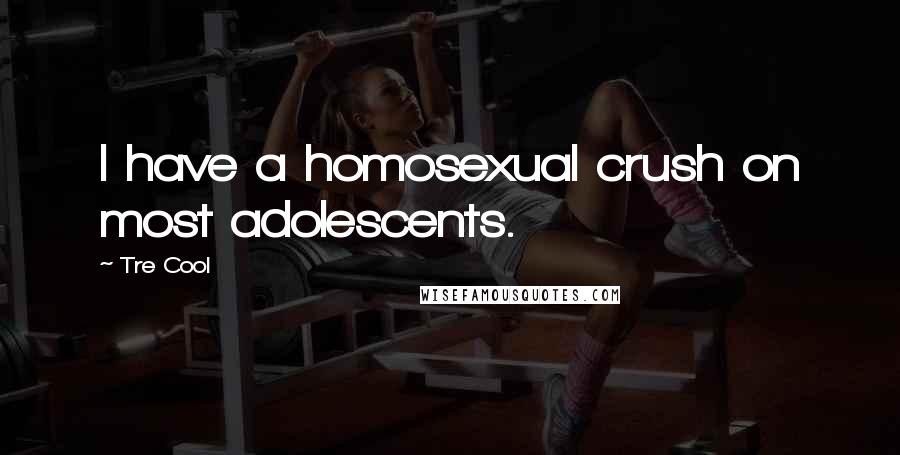 Tre Cool Quotes: I have a homosexual crush on most adolescents.