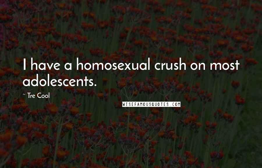 Tre Cool Quotes: I have a homosexual crush on most adolescents.