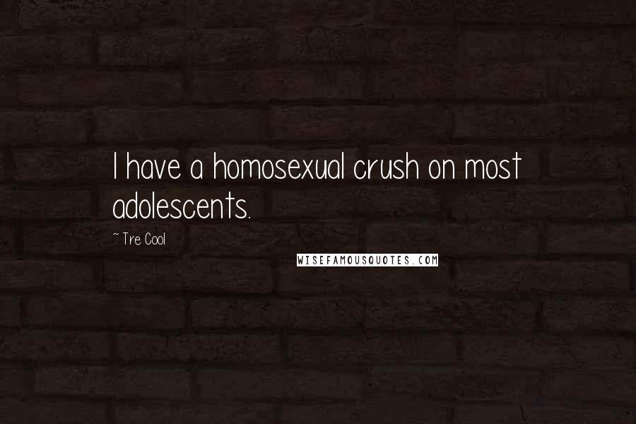 Tre Cool Quotes: I have a homosexual crush on most adolescents.