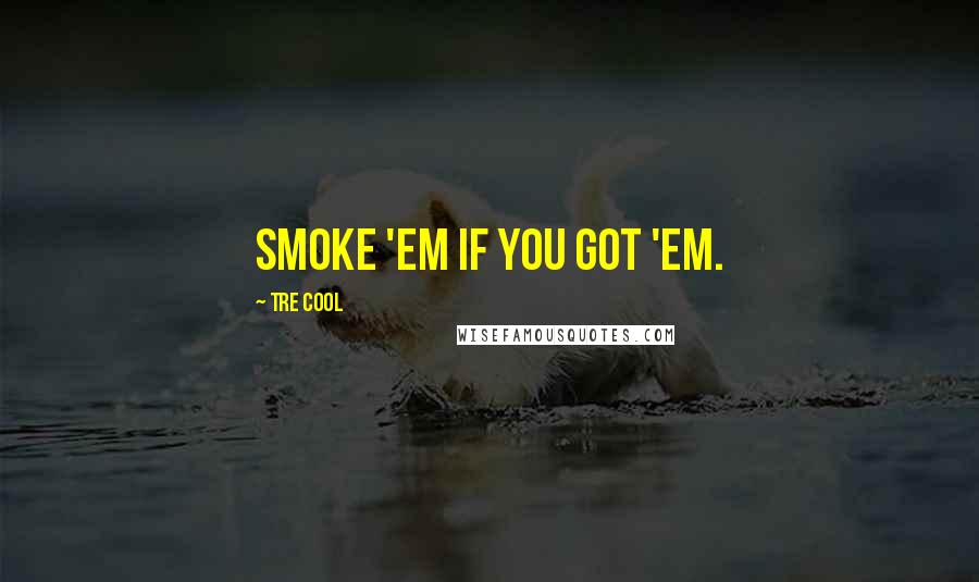 Tre Cool Quotes: Smoke 'em if you got 'em.