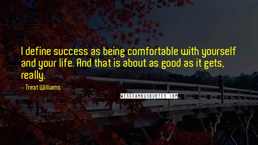 Treat Williams Quotes: I define success as being comfortable with yourself and your life. And that is about as good as it gets, really.