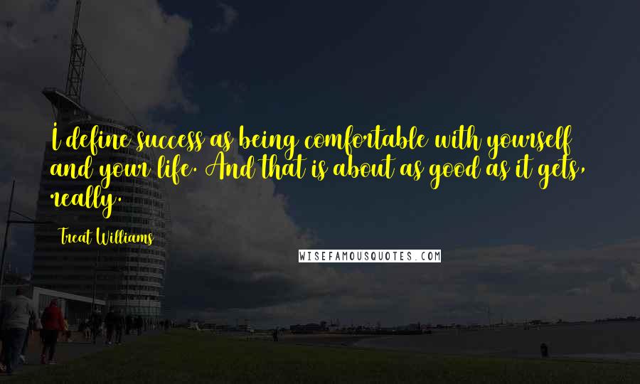 Treat Williams Quotes: I define success as being comfortable with yourself and your life. And that is about as good as it gets, really.