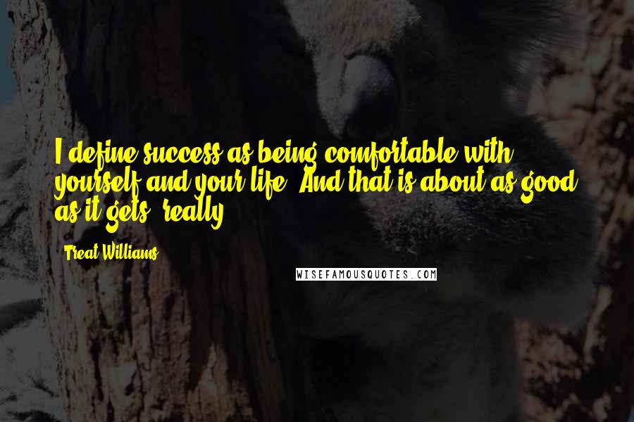 Treat Williams Quotes: I define success as being comfortable with yourself and your life. And that is about as good as it gets, really.