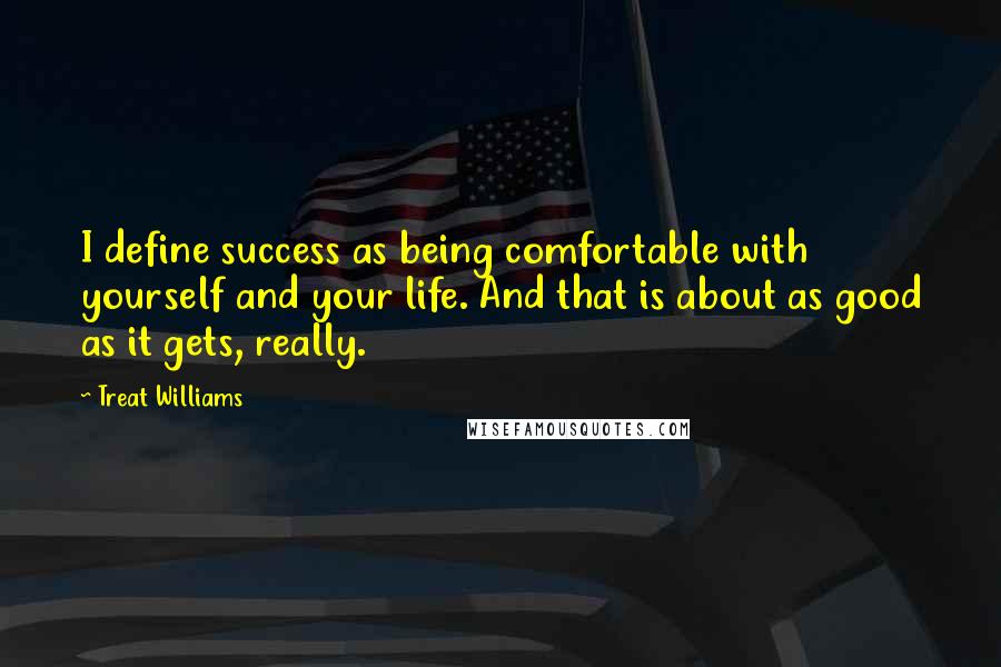 Treat Williams Quotes: I define success as being comfortable with yourself and your life. And that is about as good as it gets, really.