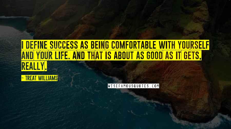 Treat Williams Quotes: I define success as being comfortable with yourself and your life. And that is about as good as it gets, really.