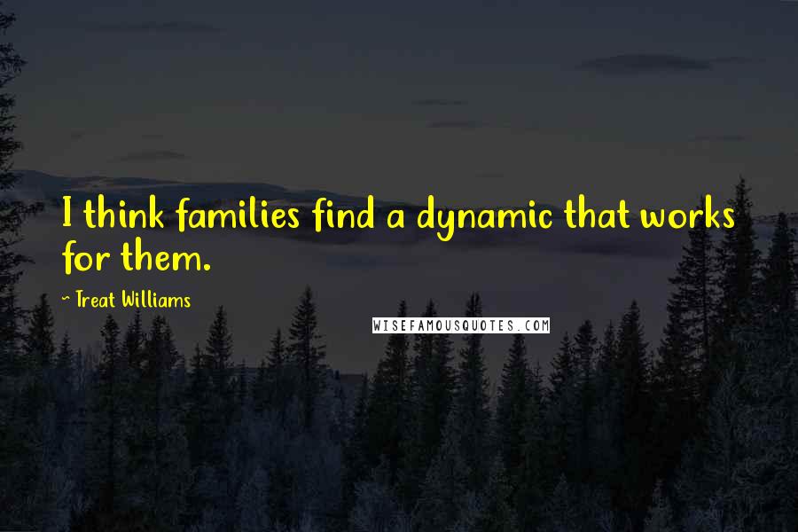 Treat Williams Quotes: I think families find a dynamic that works for them.