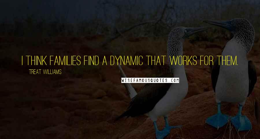 Treat Williams Quotes: I think families find a dynamic that works for them.