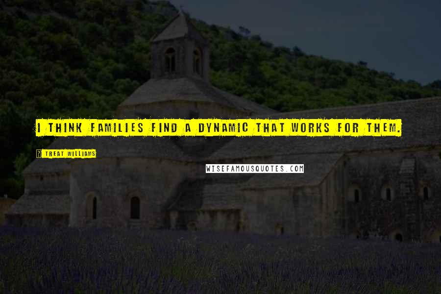 Treat Williams Quotes: I think families find a dynamic that works for them.
