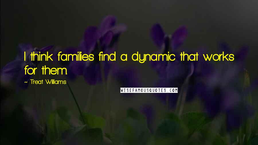 Treat Williams Quotes: I think families find a dynamic that works for them.