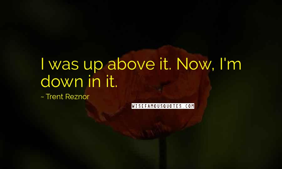 Trent Reznor Quotes: I was up above it. Now, I'm down in it.