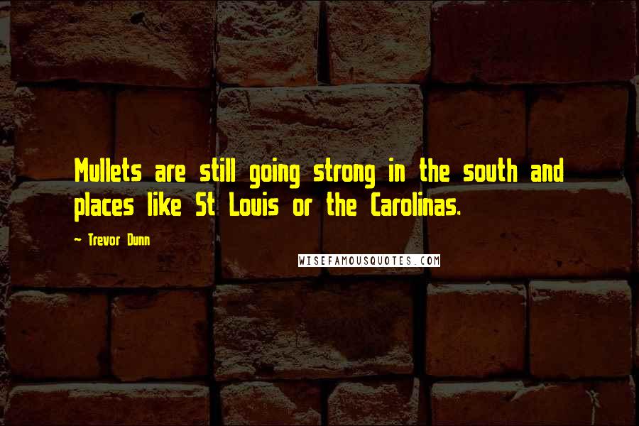 Trevor Dunn Quotes: Mullets are still going strong in the south and places like St Louis or the Carolinas.