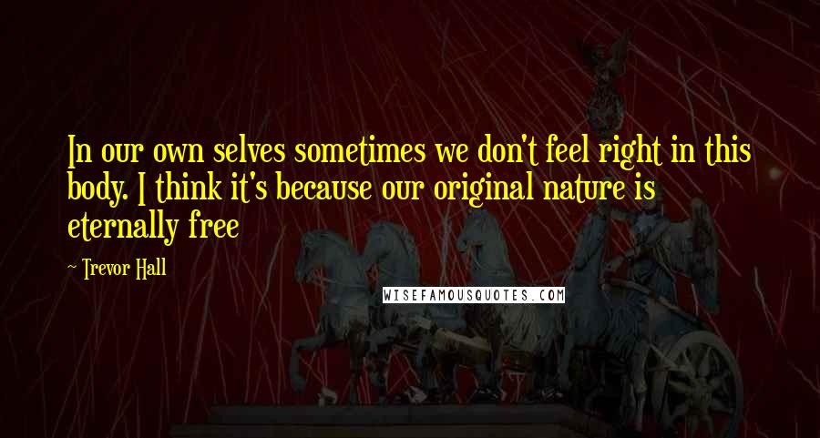 Trevor Hall Quotes: In our own selves sometimes we don't feel right in this body. I think it's because our original nature is eternally free