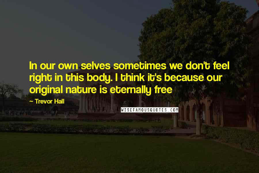 Trevor Hall Quotes: In our own selves sometimes we don't feel right in this body. I think it's because our original nature is eternally free