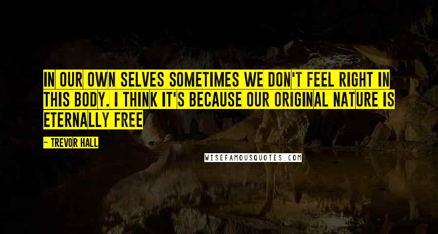 Trevor Hall Quotes: In our own selves sometimes we don't feel right in this body. I think it's because our original nature is eternally free