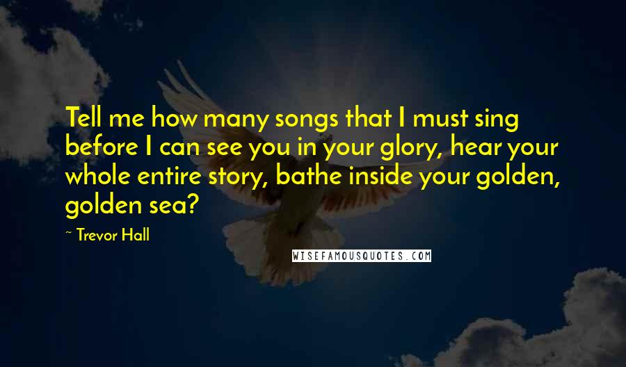 Trevor Hall Quotes: Tell me how many songs that I must sing before I can see you in your glory, hear your whole entire story, bathe inside your golden, golden sea?