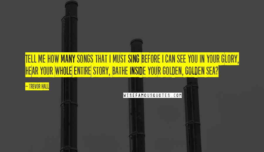 Trevor Hall Quotes: Tell me how many songs that I must sing before I can see you in your glory, hear your whole entire story, bathe inside your golden, golden sea?