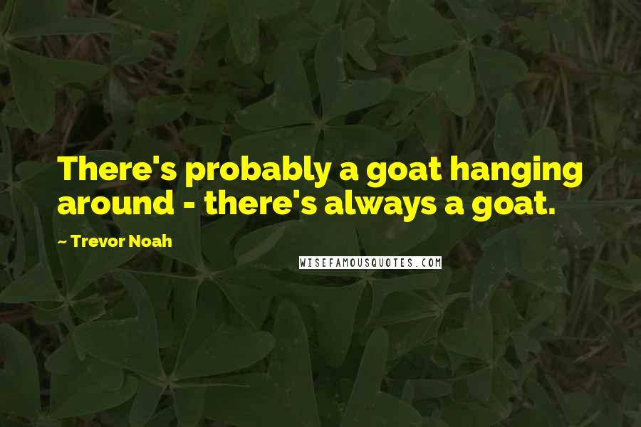 Trevor Noah Quotes: There's probably a goat hanging around - there's always a goat.