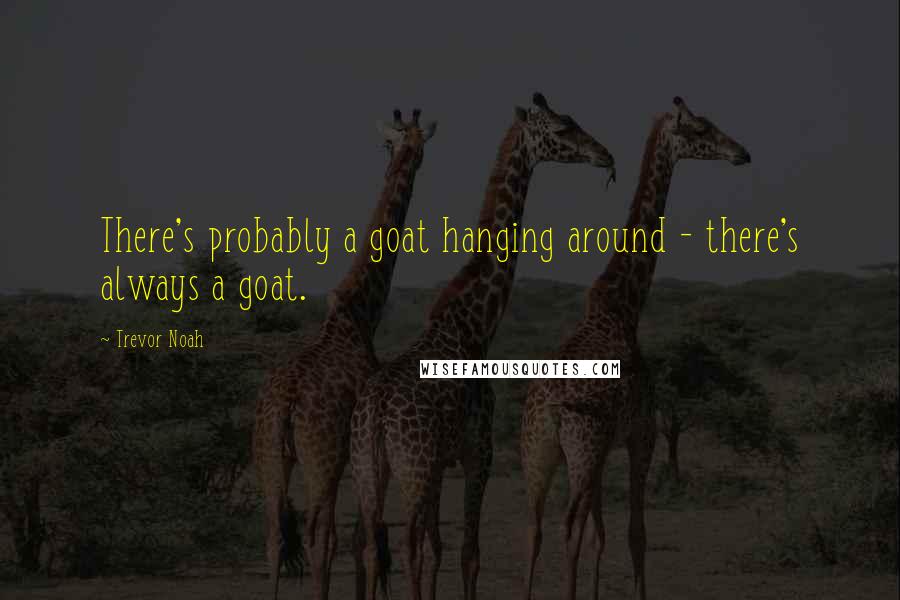 Trevor Noah Quotes: There's probably a goat hanging around - there's always a goat.