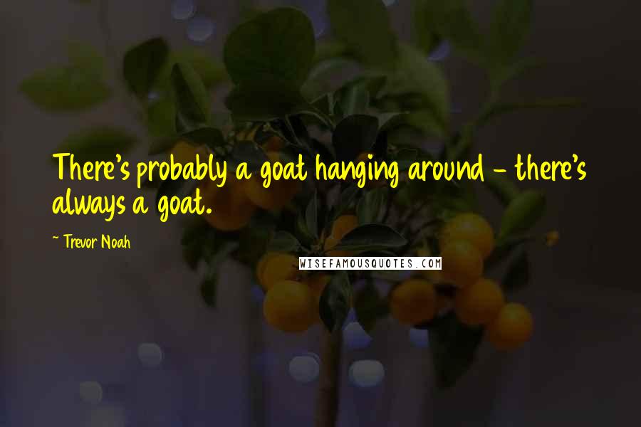 Trevor Noah Quotes: There's probably a goat hanging around - there's always a goat.