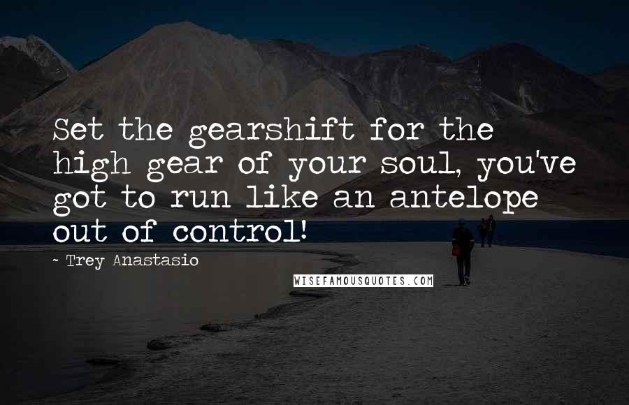 Trey Anastasio Quotes: Set the gearshift for the high gear of your soul, you've got to run like an antelope out of control!