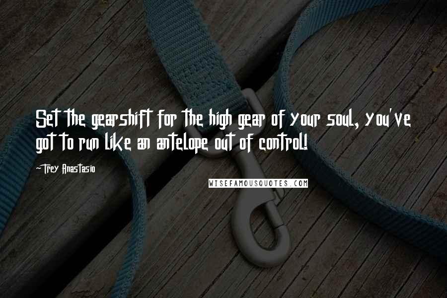 Trey Anastasio Quotes: Set the gearshift for the high gear of your soul, you've got to run like an antelope out of control!
