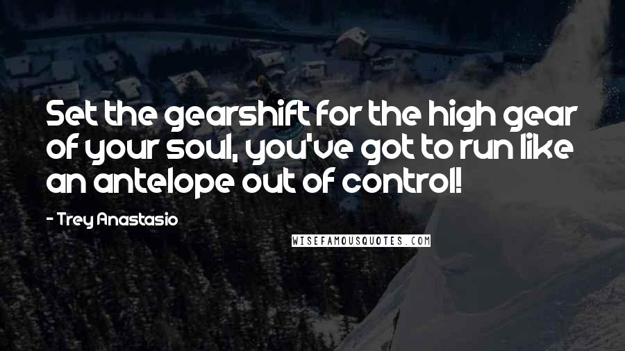 Trey Anastasio Quotes: Set the gearshift for the high gear of your soul, you've got to run like an antelope out of control!