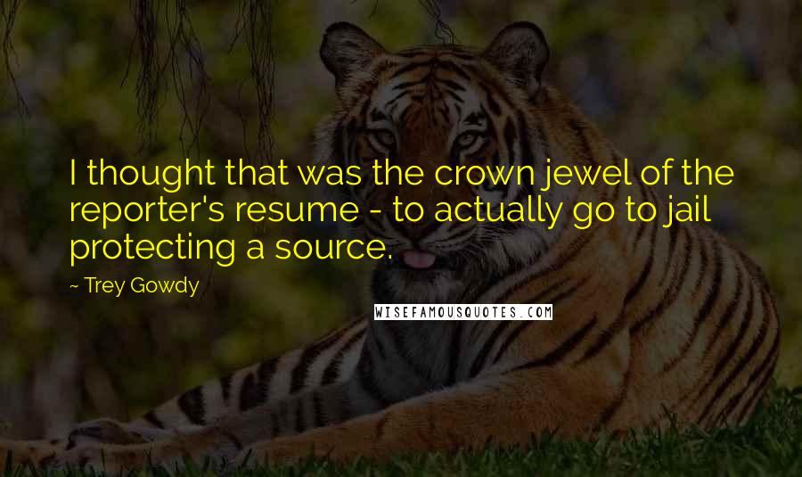 Trey Gowdy Quotes: I thought that was the crown jewel of the reporter's resume - to actually go to jail protecting a source.