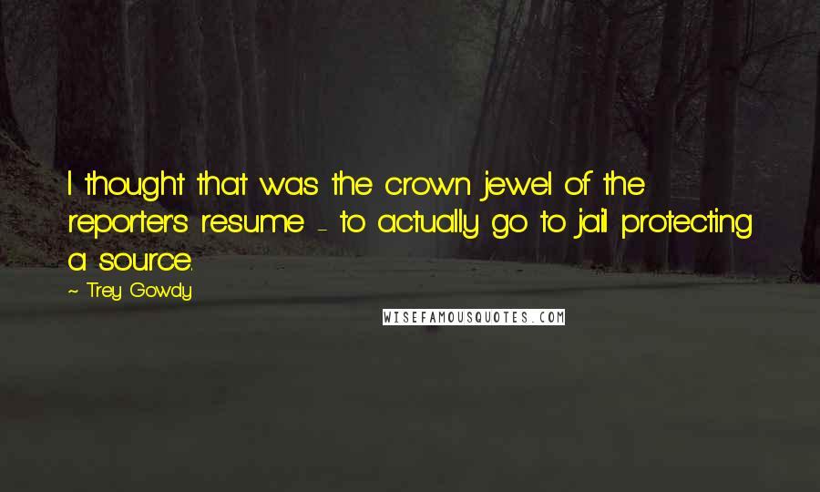 Trey Gowdy Quotes: I thought that was the crown jewel of the reporter's resume - to actually go to jail protecting a source.