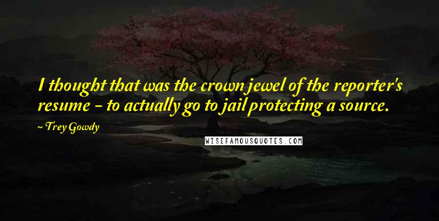 Trey Gowdy Quotes: I thought that was the crown jewel of the reporter's resume - to actually go to jail protecting a source.