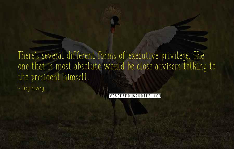 Trey Gowdy Quotes: There's several different forms of executive privilege. The one that is most absolute would be close advisers talking to the president himself.