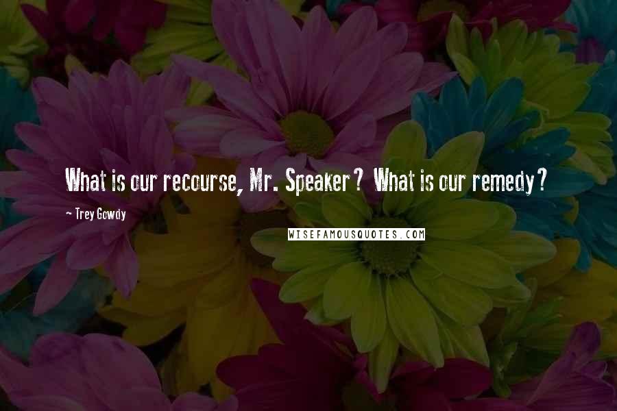 Trey Gowdy Quotes: What is our recourse, Mr. Speaker? What is our remedy?