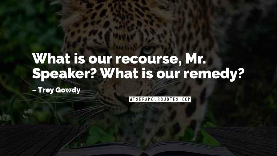 Trey Gowdy Quotes: What is our recourse, Mr. Speaker? What is our remedy?