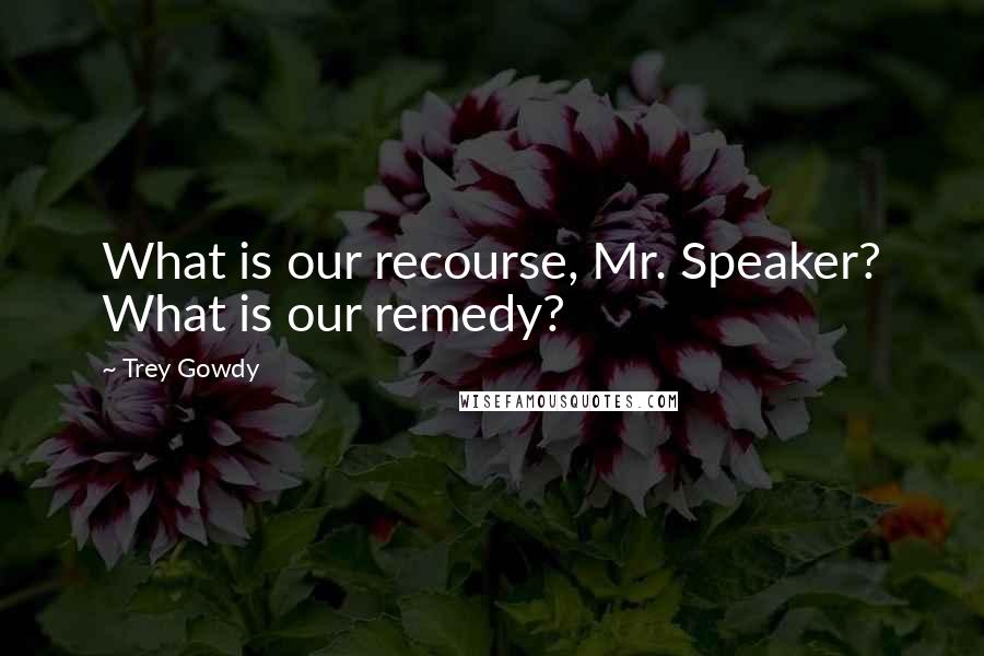 Trey Gowdy Quotes: What is our recourse, Mr. Speaker? What is our remedy?