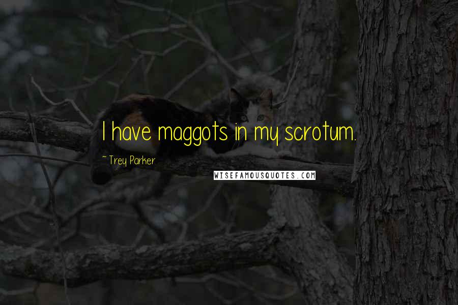 Trey Parker Quotes: I have maggots in my scrotum.