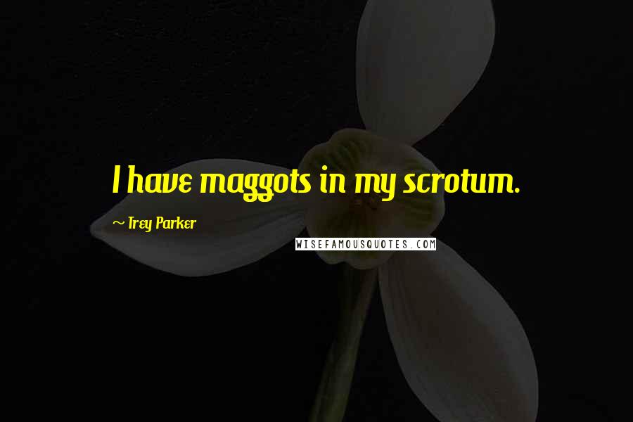 Trey Parker Quotes: I have maggots in my scrotum.