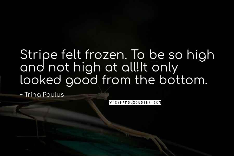 Trina Paulus Quotes: Stripe felt frozen. To be so high and not high at all!It only looked good from the bottom.