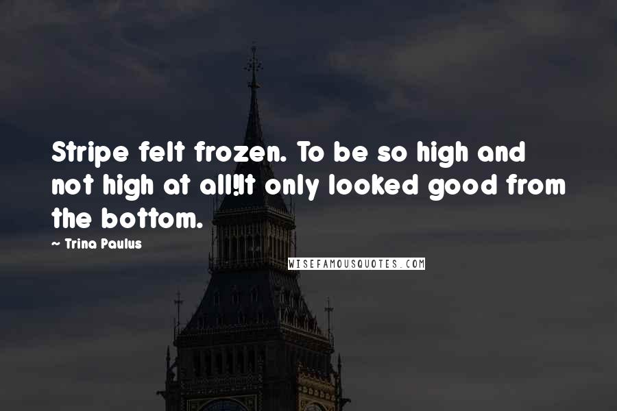 Trina Paulus Quotes: Stripe felt frozen. To be so high and not high at all!It only looked good from the bottom.