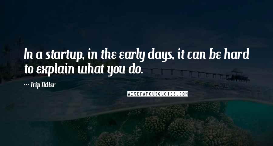 Trip Adler Quotes: In a startup, in the early days, it can be hard to explain what you do.