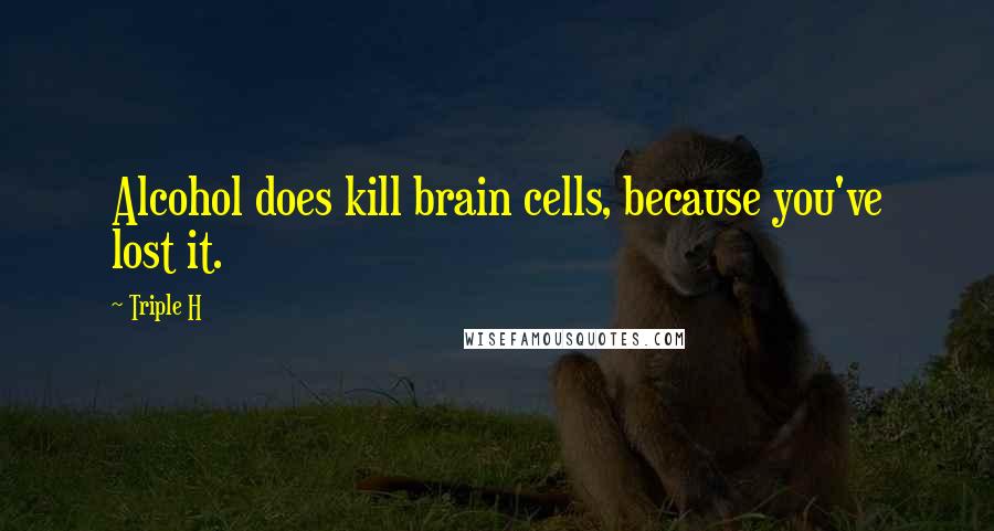 Triple H Quotes: Alcohol does kill brain cells, because you've lost it.