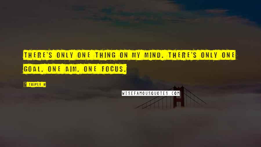 Triple H Quotes: There's only one thing on my mind. There's only one goal. One aim. One focus.