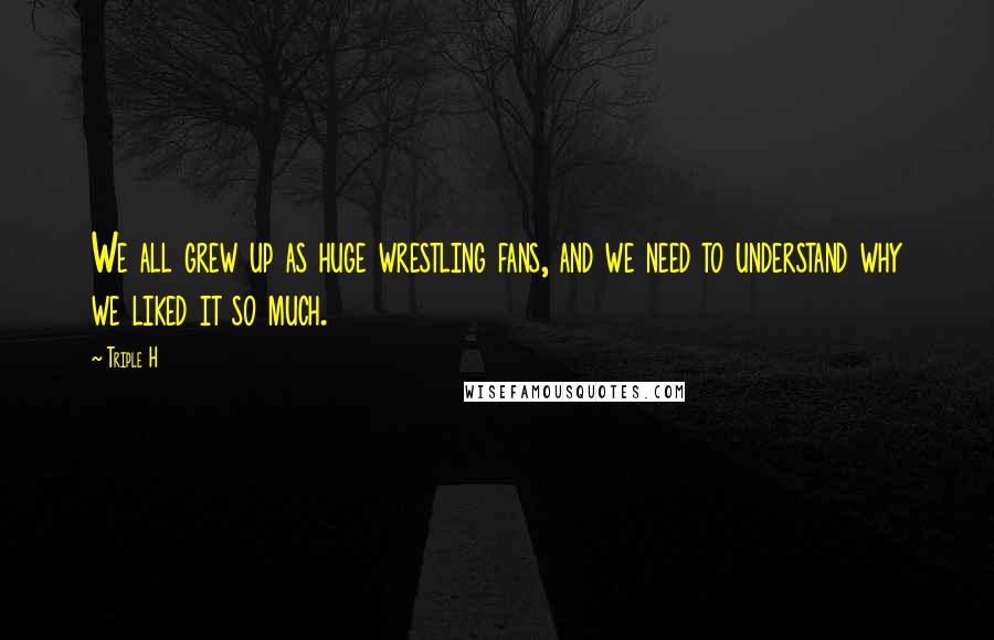 Triple H Quotes: We all grew up as huge wrestling fans, and we need to understand why we liked it so much.