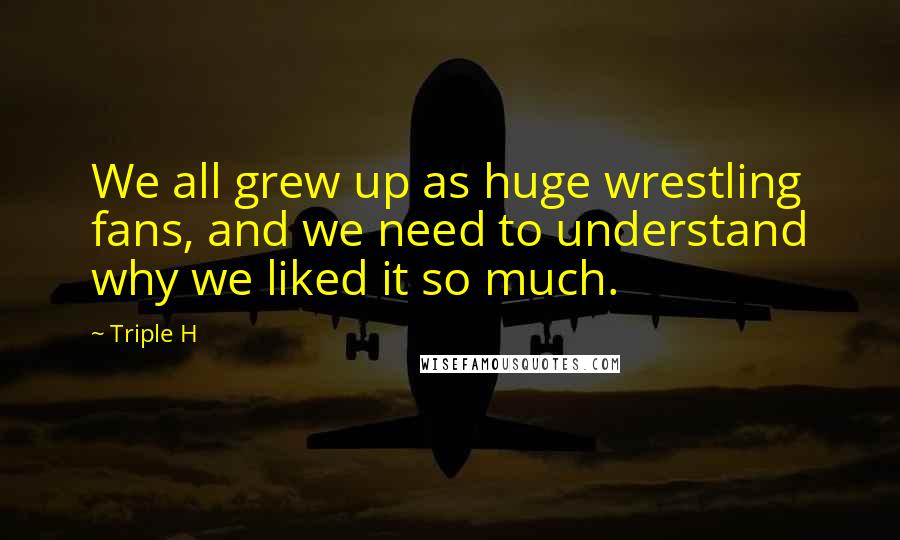 Triple H Quotes: We all grew up as huge wrestling fans, and we need to understand why we liked it so much.