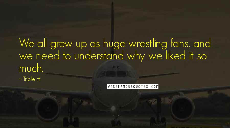 Triple H Quotes: We all grew up as huge wrestling fans, and we need to understand why we liked it so much.