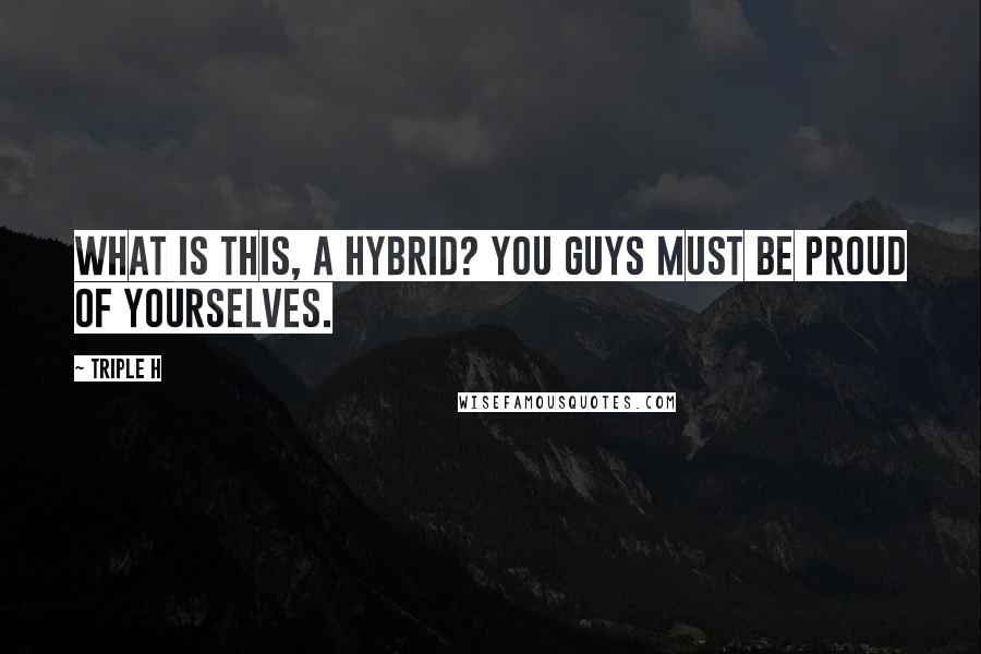 Triple H Quotes: What is this, a Hybrid? You guys must be proud of yourselves.