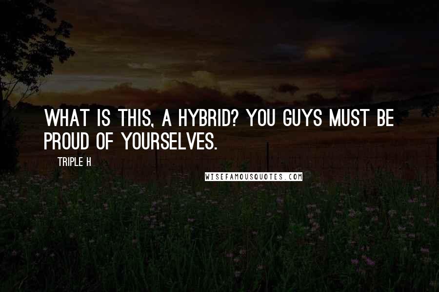 Triple H Quotes: What is this, a Hybrid? You guys must be proud of yourselves.