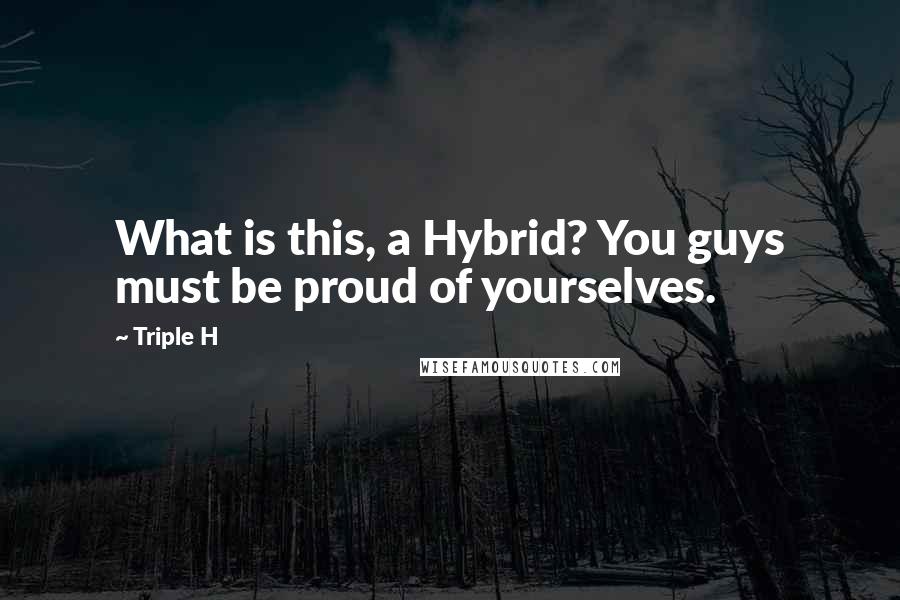 Triple H Quotes: What is this, a Hybrid? You guys must be proud of yourselves.