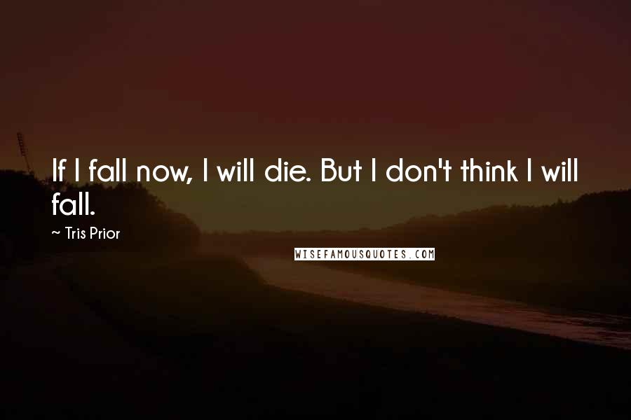 Tris Prior Quotes: If I fall now, I will die. But I don't think I will fall.