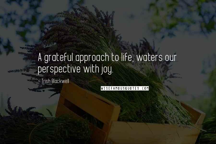 Trish Blackwell Quotes: A grateful approach to life, waters our perspective with joy.