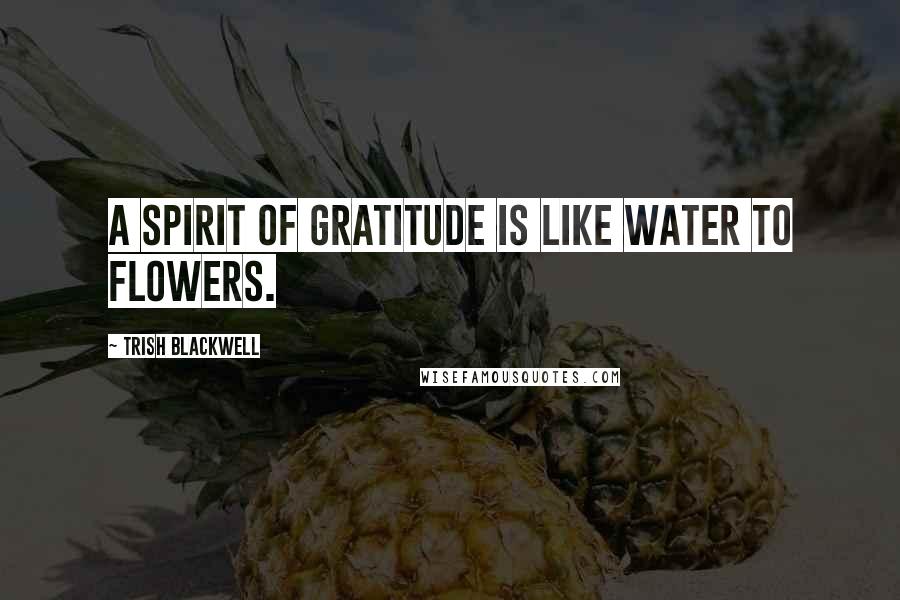 Trish Blackwell Quotes: A spirit of gratitude is like water to flowers.